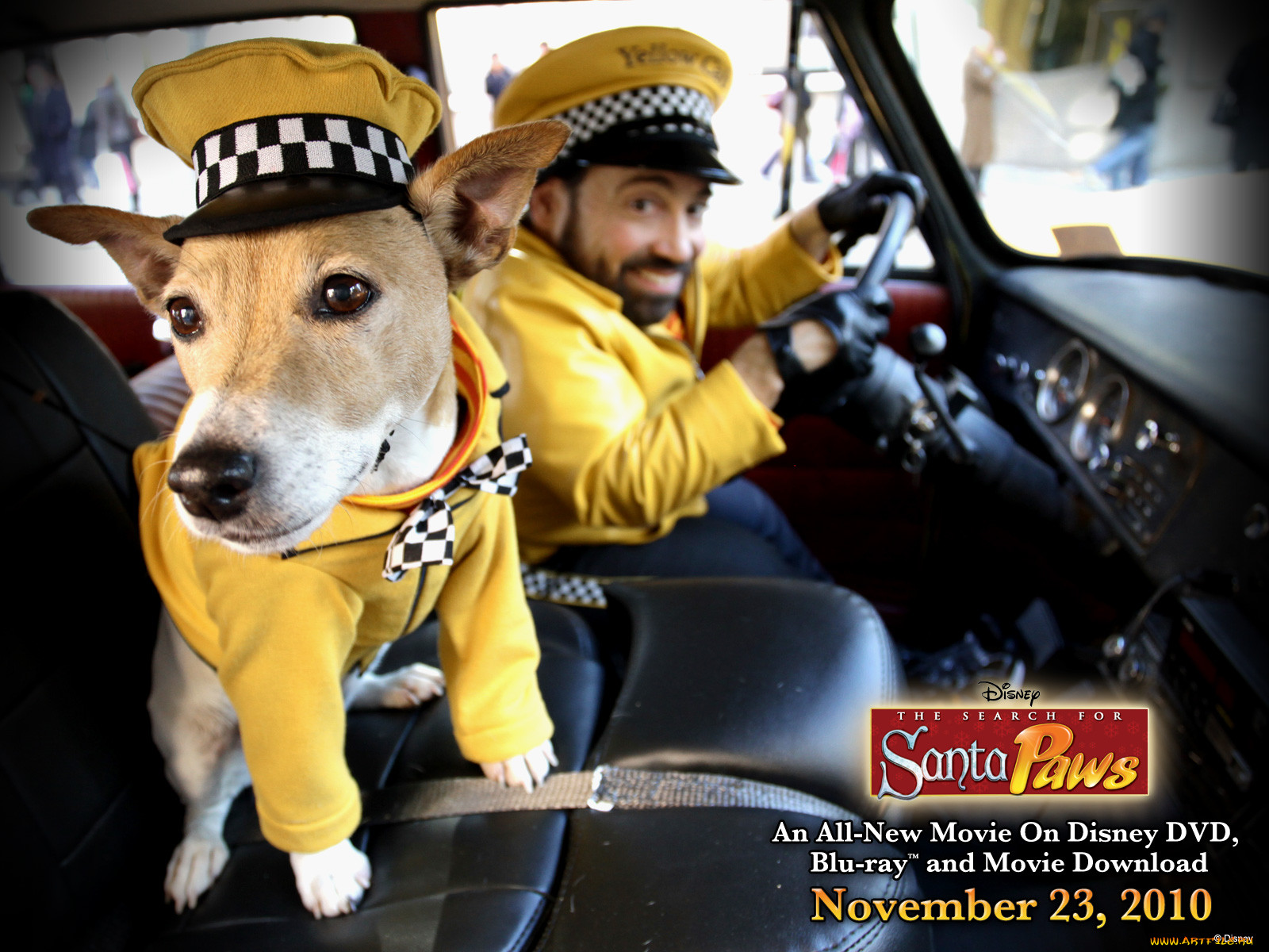 the, search, for, santa, paws, , 
